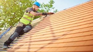Best Roof Moss and Algae Removal  in Atoka, NM